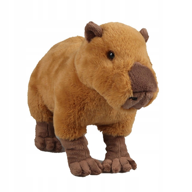 PLUSZAK KAPIBARA CAPYBARA MASKOTKA DLA DZIECI 30CM Wysokość produktu 30 cm