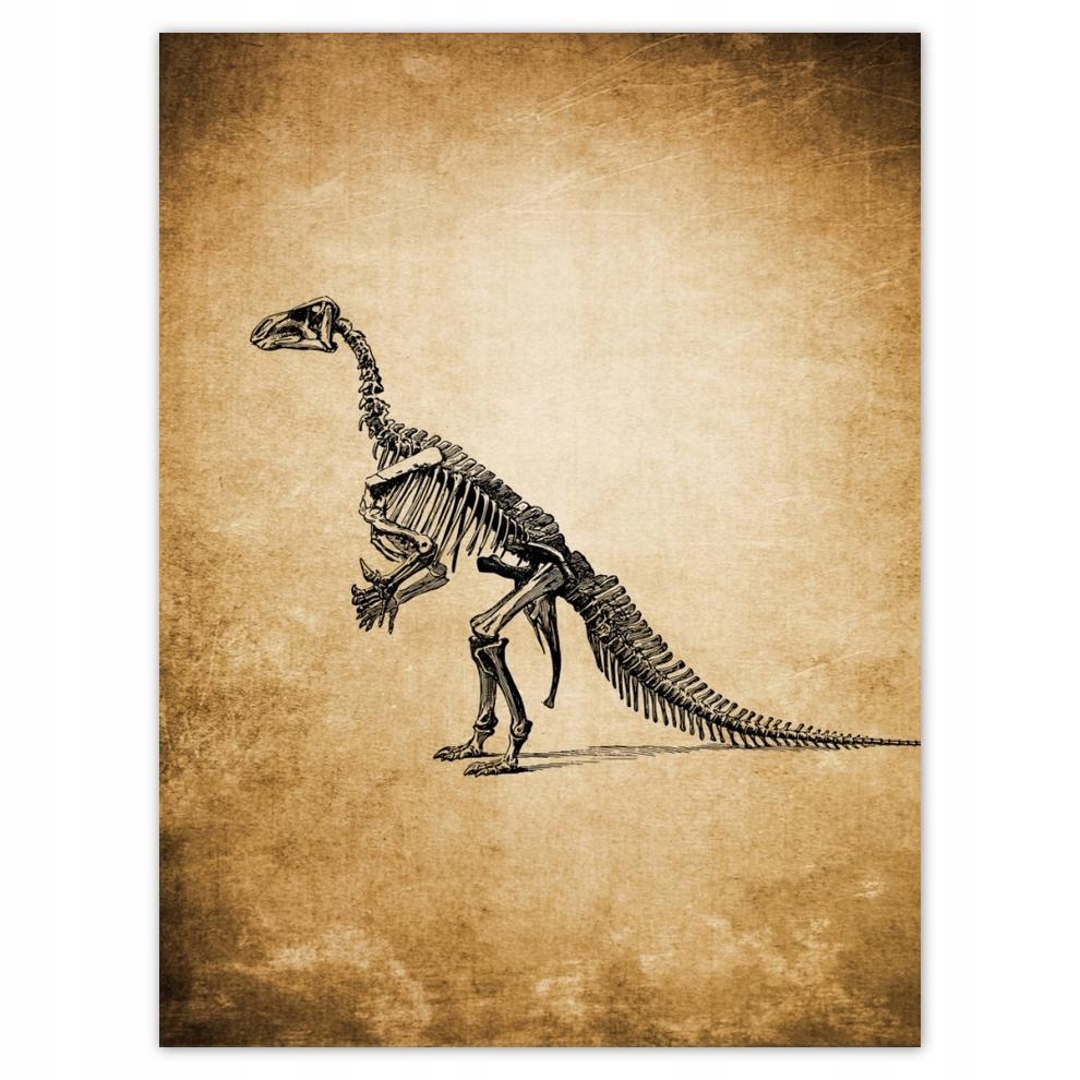 

Plakat 30x40 Dinozaur Prehistoria Dino