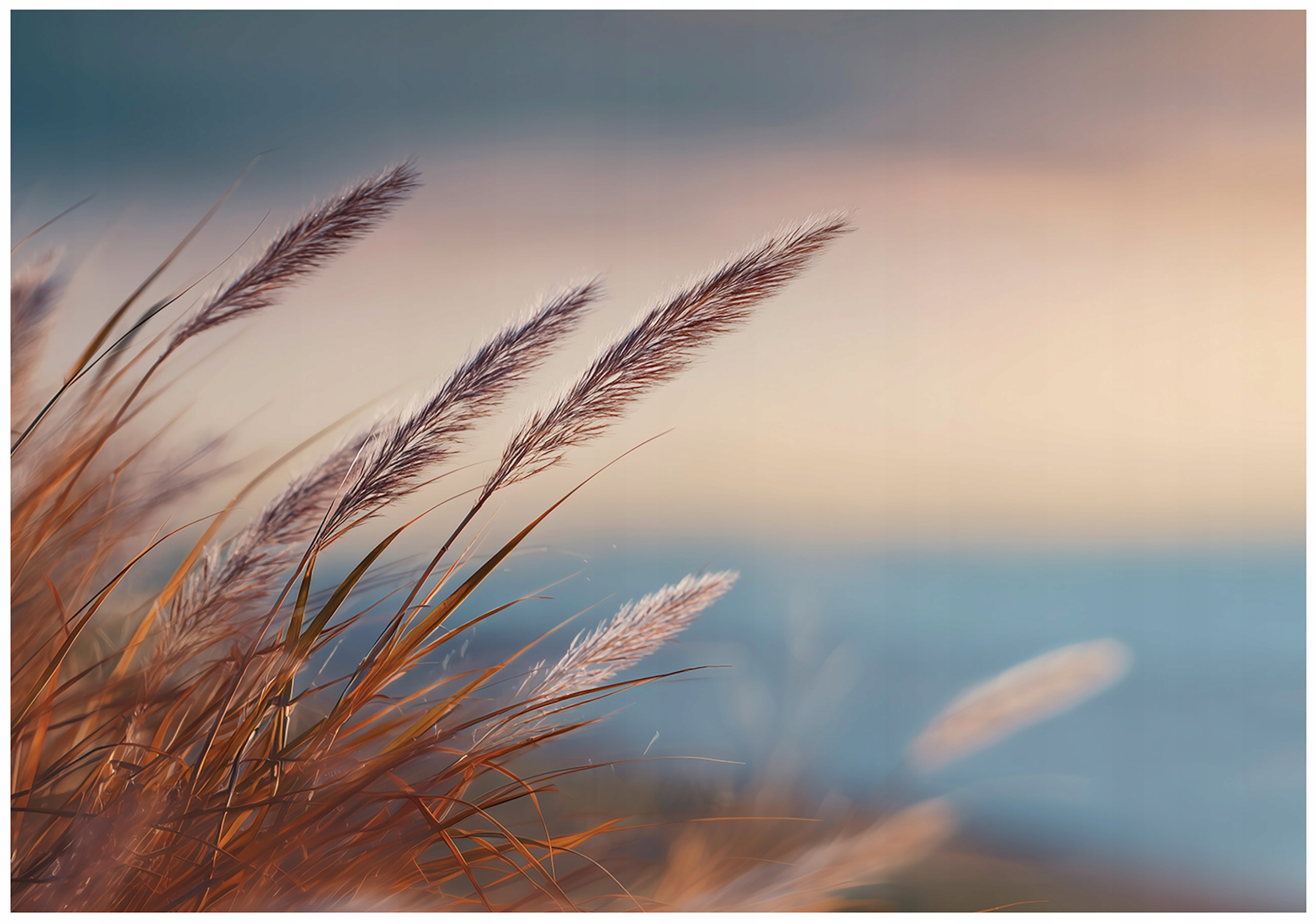 Fototapeta Tráva Příroda Béžová Ložnice Obývací Pokoj Tapeta Flizelina 250x175