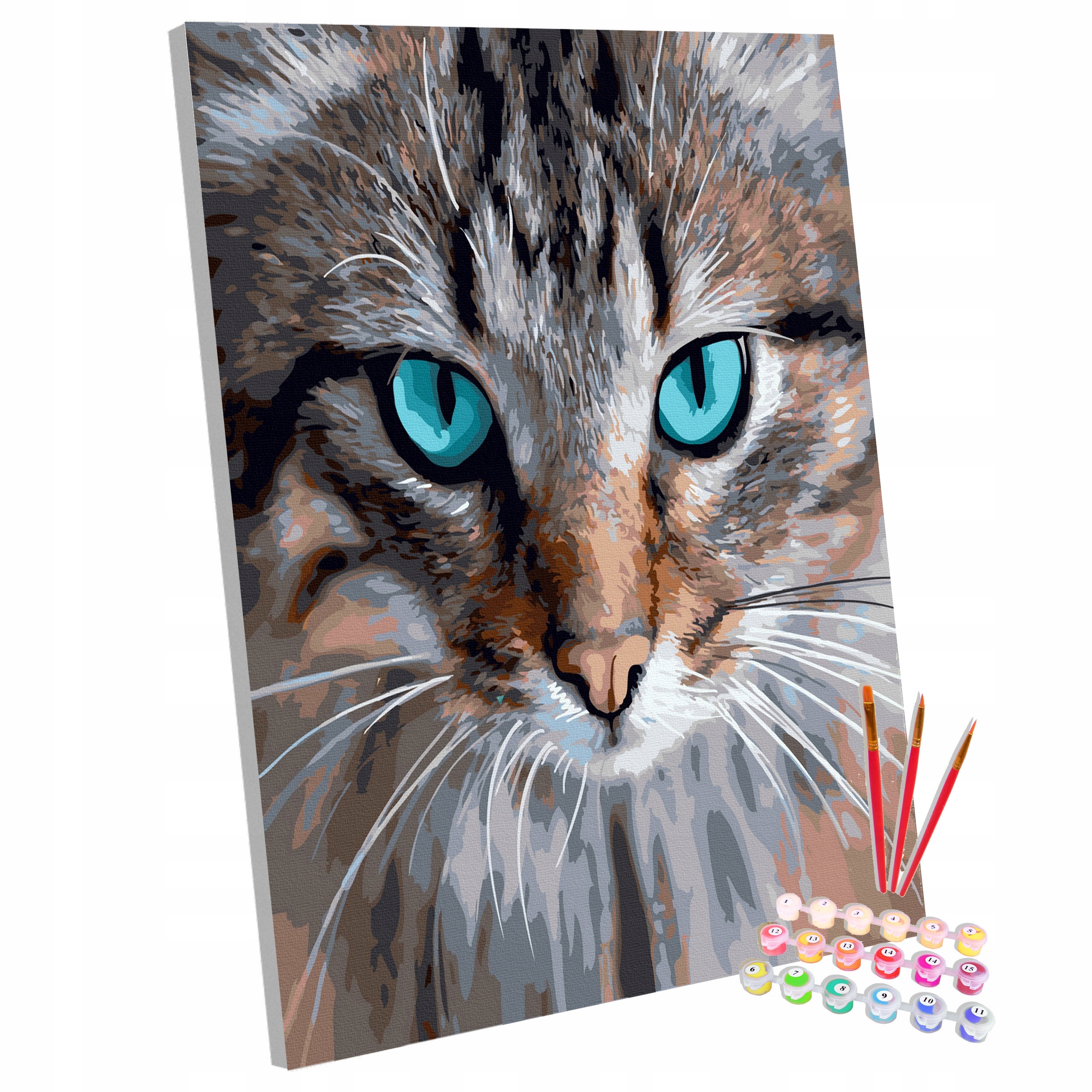 Obraz Malování Podle Čísel Pro malování Na Rám Rám Kočka Kotě 40x50 cm