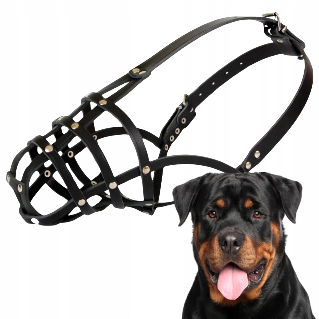 Náhubek pro psa, Kožený Nýtovaný Č. 9 (obvod 35 cm) Rotvajler Střední