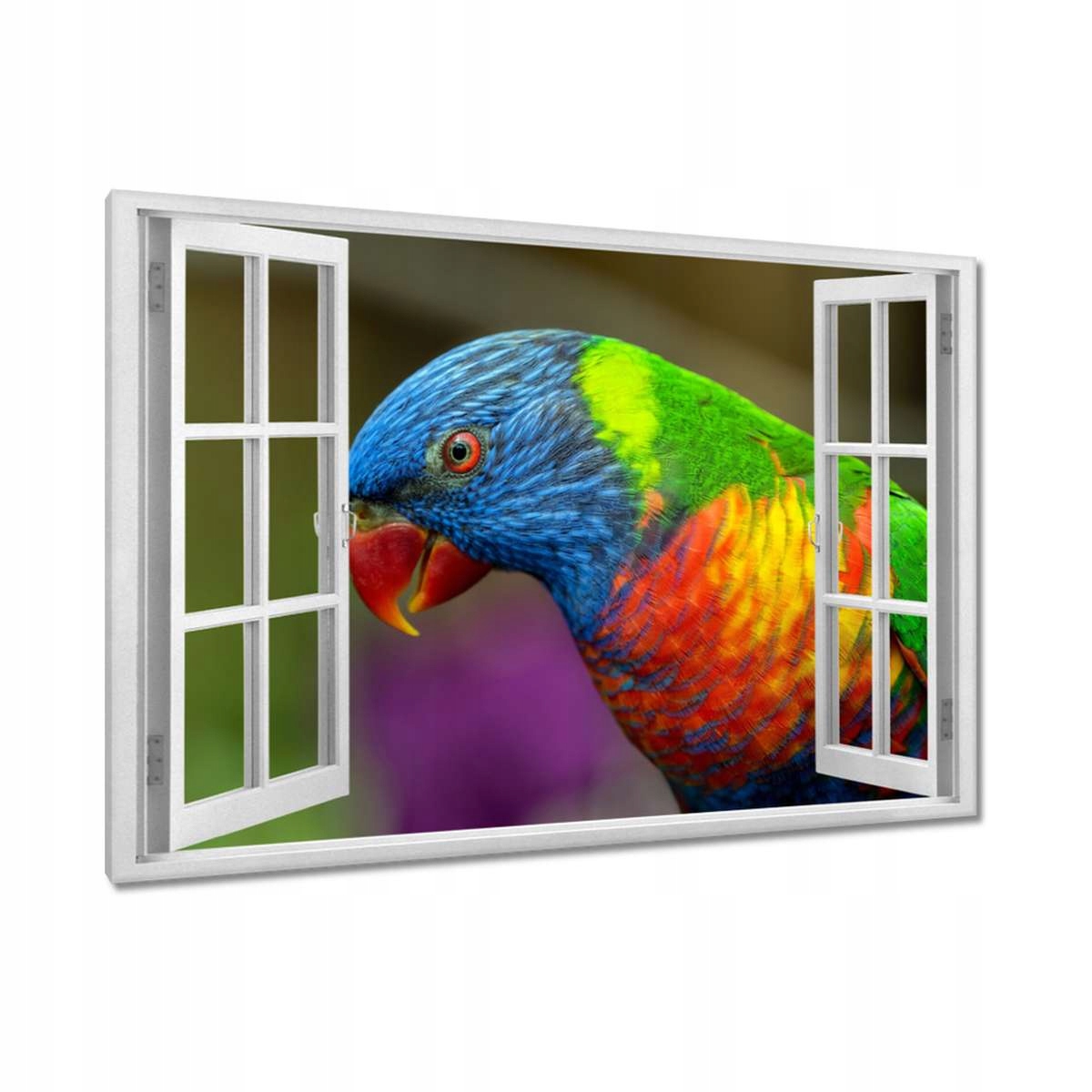 Obrazy 120x80 Papoušci Ptáčci