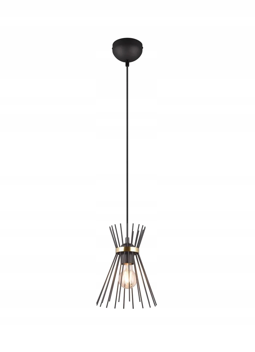 Rl Designová závěsná lampa černá E27 40W Rod IP20