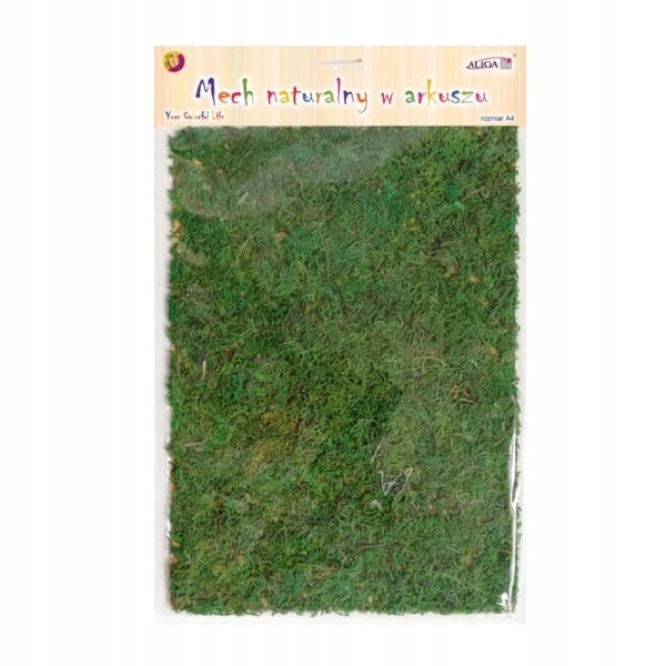 mech naturalny arkusz A4   MECH-6365 — 2