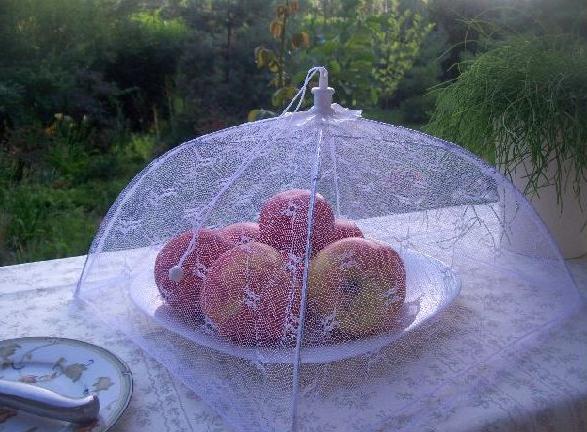 MOSKITIERA NA ŻYWNOŚĆ OSŁONA SIATKA NA OWADY MUCHY EAN (GTIN) 8592381132040