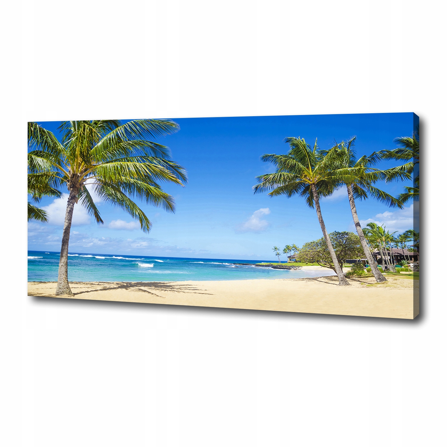 

Foto obraz na płótnie Tropikalna plaża 125x50 cm