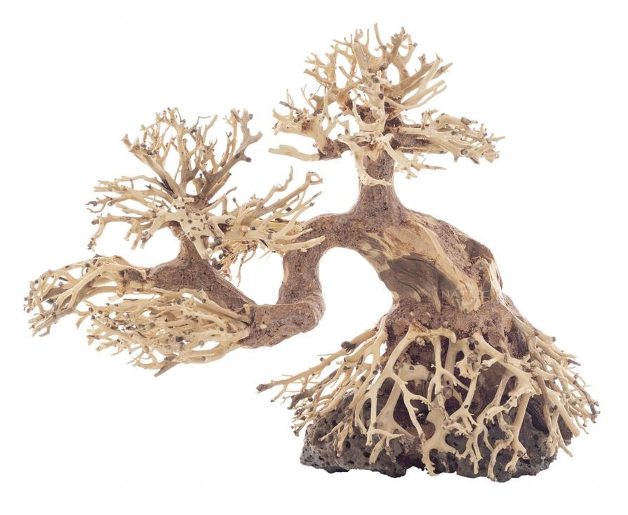 Levně Stromek Bonsai Dekorativní Do Akvária Na Mech Ozdoba Kořen 30X13X23 CM