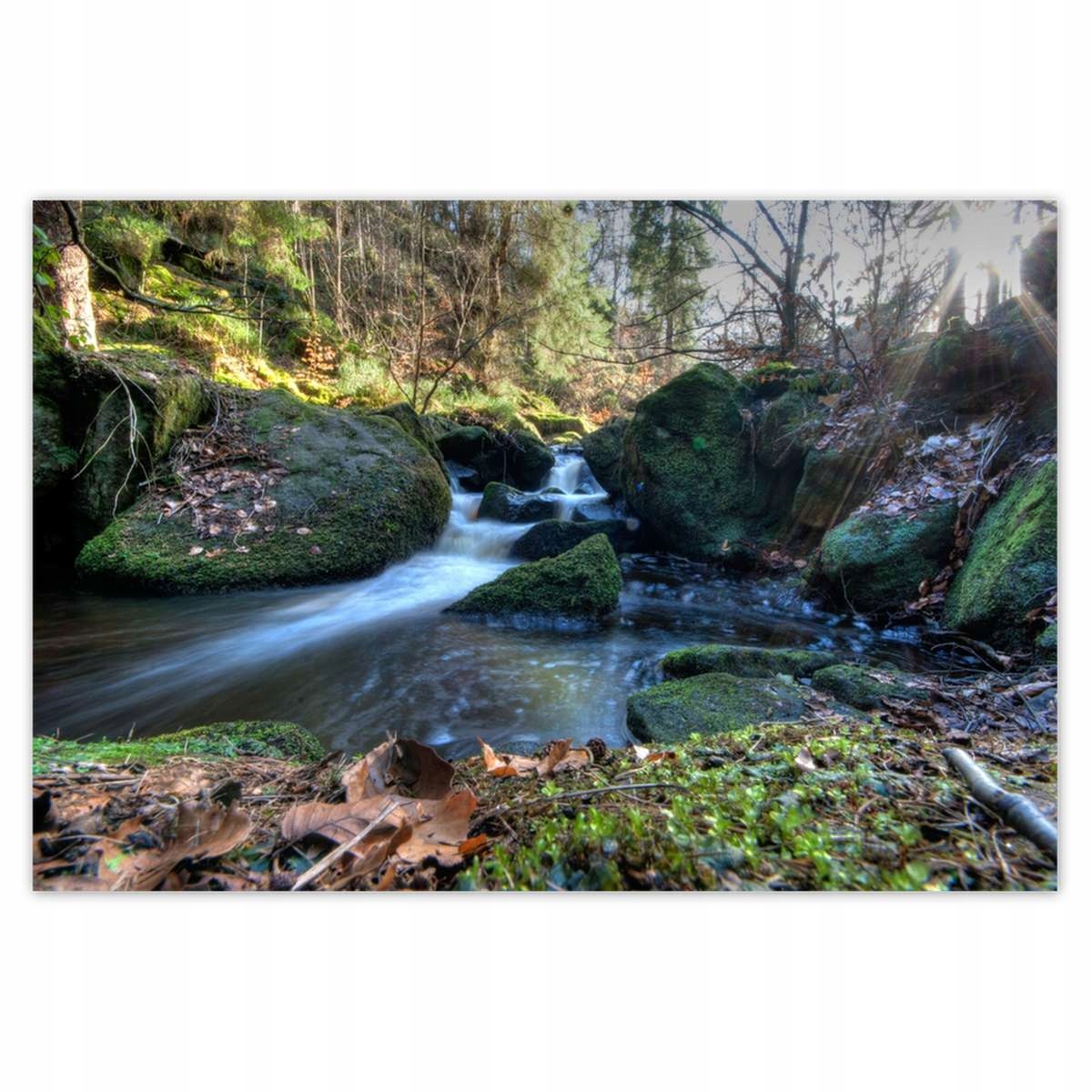 Plakáty 200x135 Ručka v horách