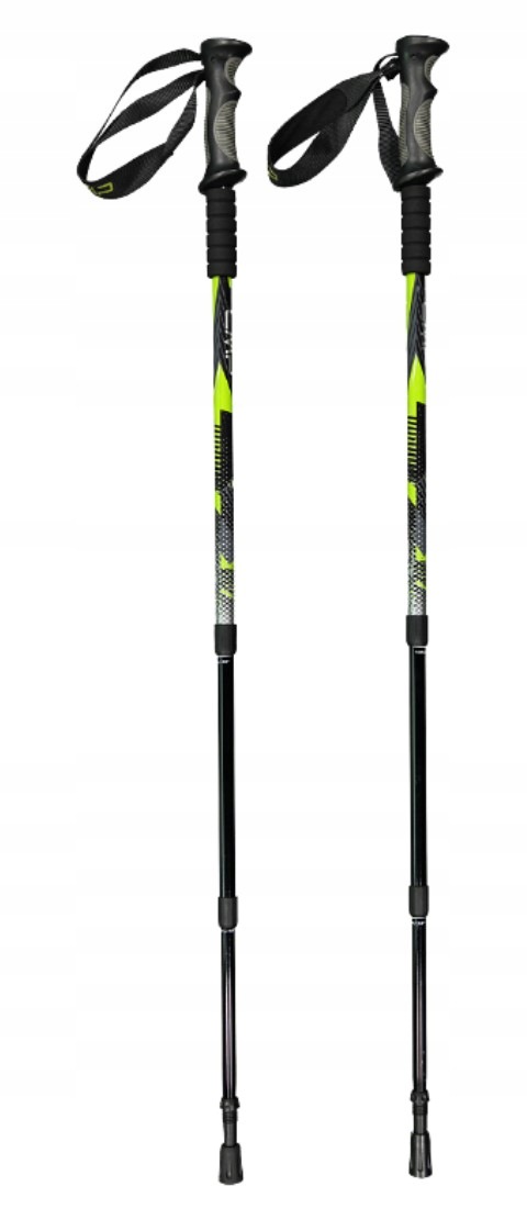 Cmp Trekingové hole Bern Trekking Poles zeleno-černé 3B36297 U911