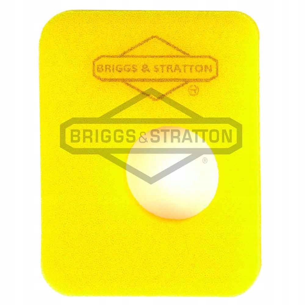

Filtr Powietrza 799579 Briggs Stratton