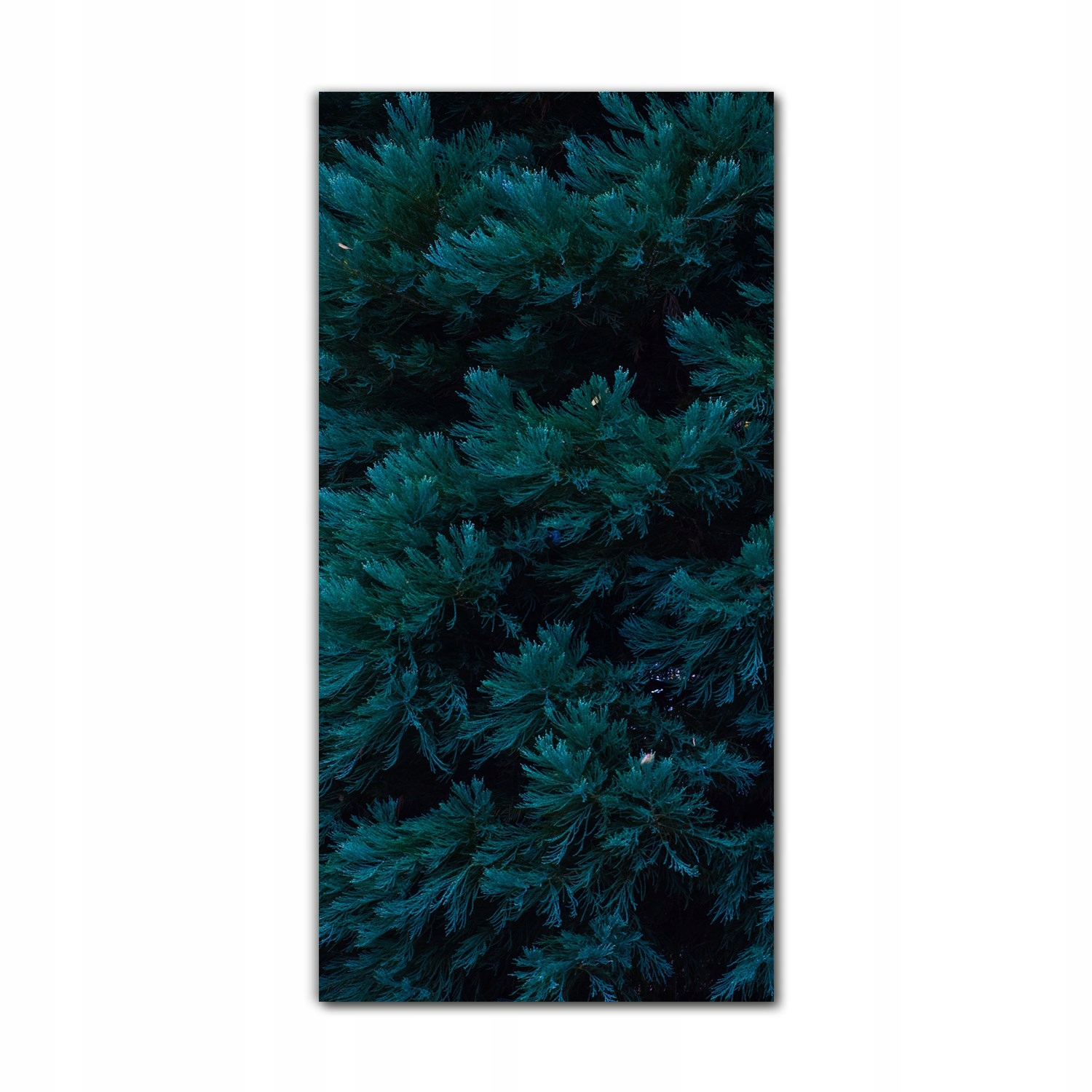 

Obrazy szklane do kuchni 70x140 cm Drzewa natura