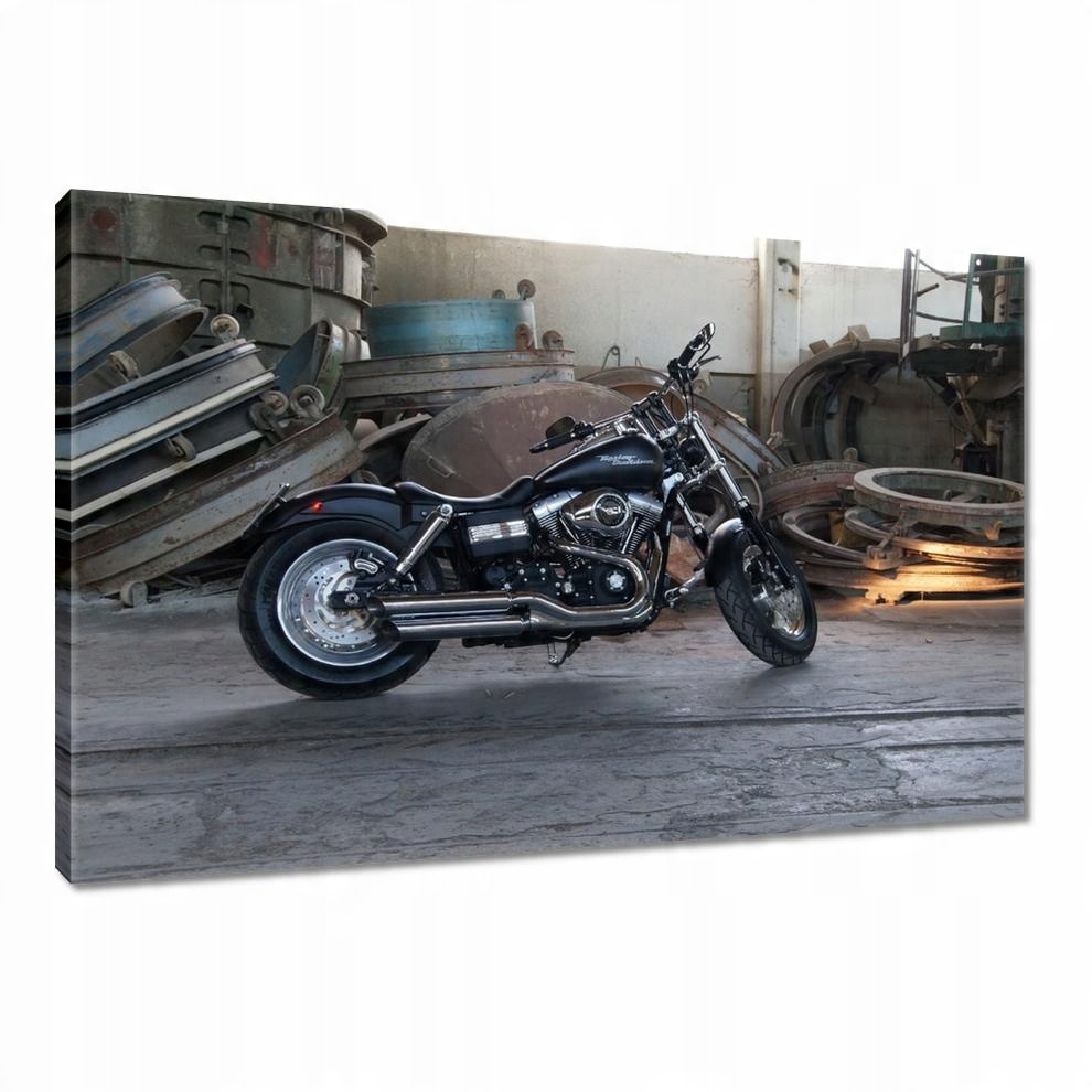 

Obrazy 90x60 Harley Davidson