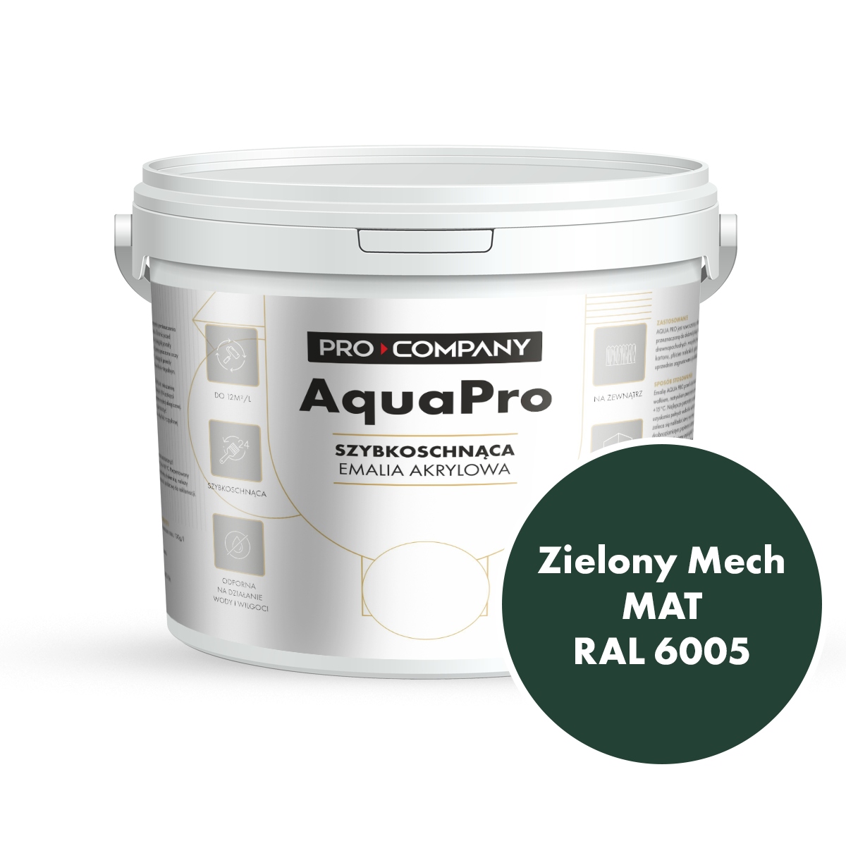 Aqua Pro Emalia Akrylowa Szybkoschnąca 9L Zielony Mech Mat Ral 6005