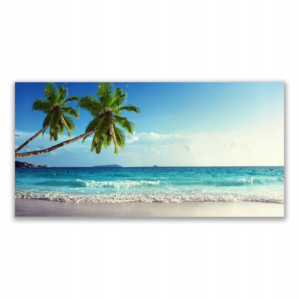 

Obraz akrylowy 120x60 Morze Plaża Palma Krajobraz