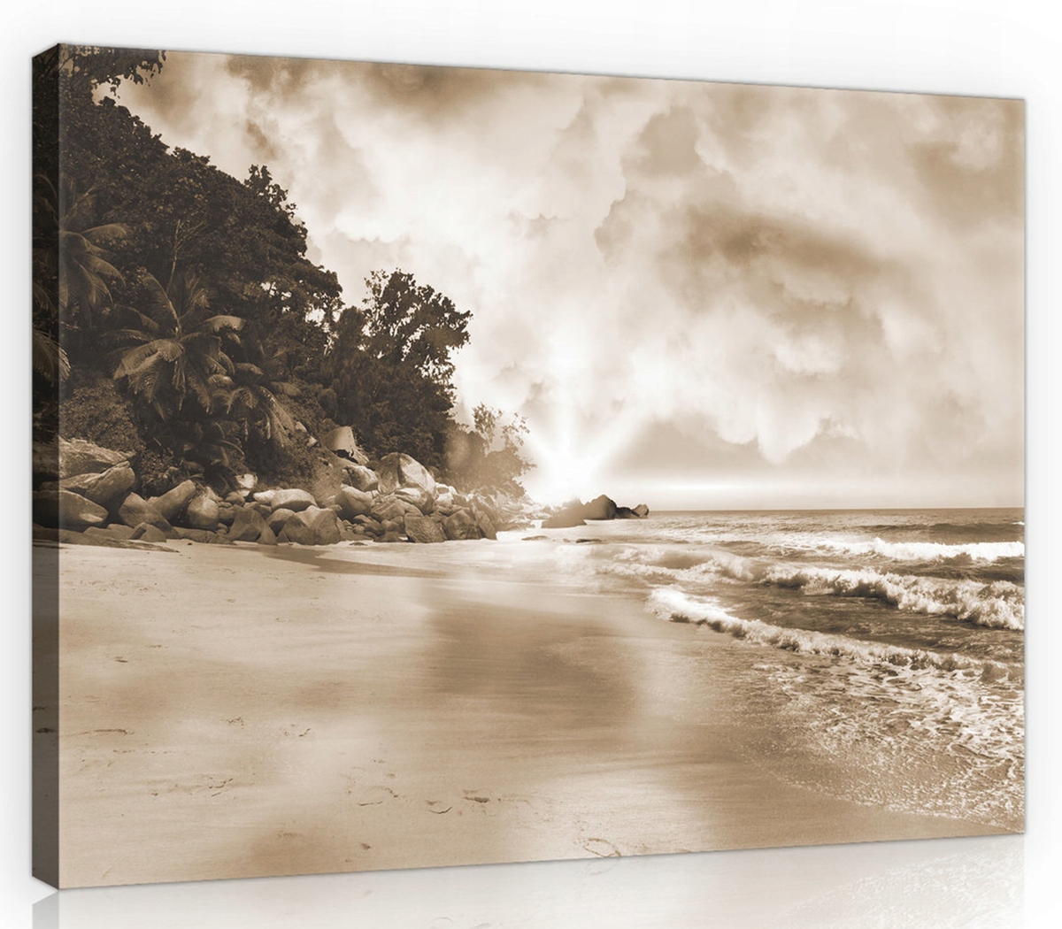 Obraz Na Plátně Canvas 80x60 Pláž Palmy Slunce