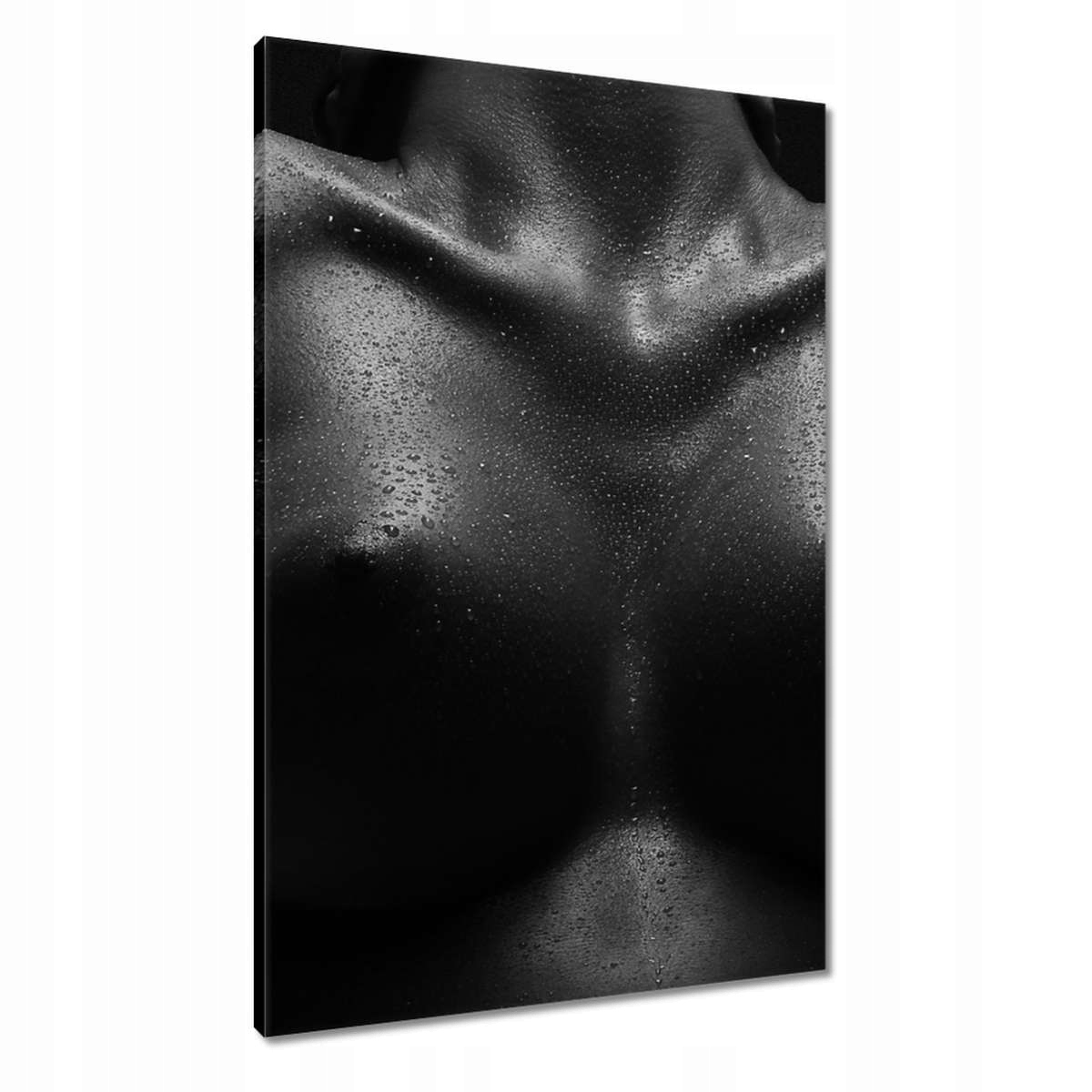 Obrazy 60x90 Akty Nahota Láska Foto