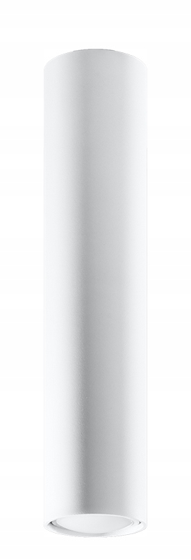 Plafon ISSA 40 biała OPRAWA SUFITOWA LAMPA LED