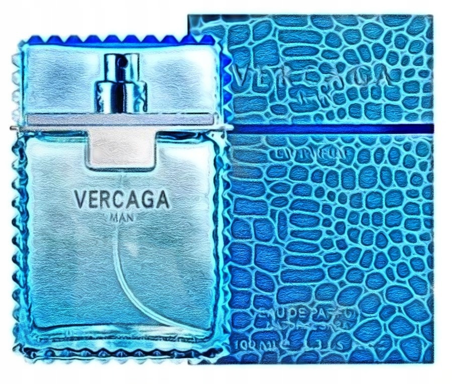 

Vercaga Eau Fraiche Man Perfumy męskie 100 ml