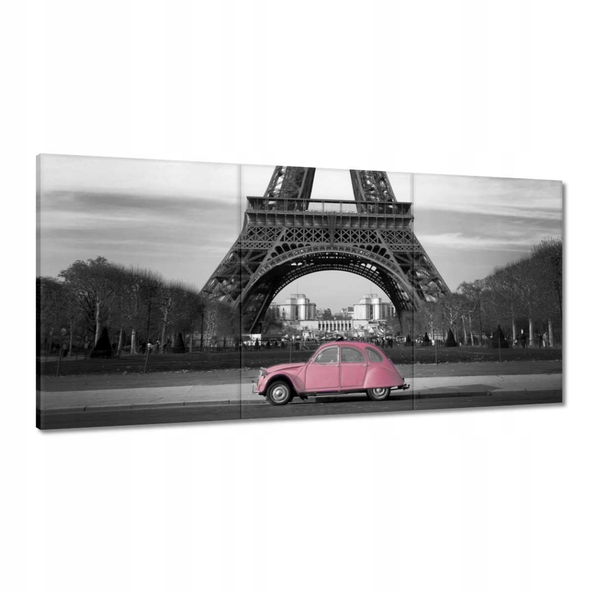 Obrazy 180x90 Pudrová ružová v Paríži