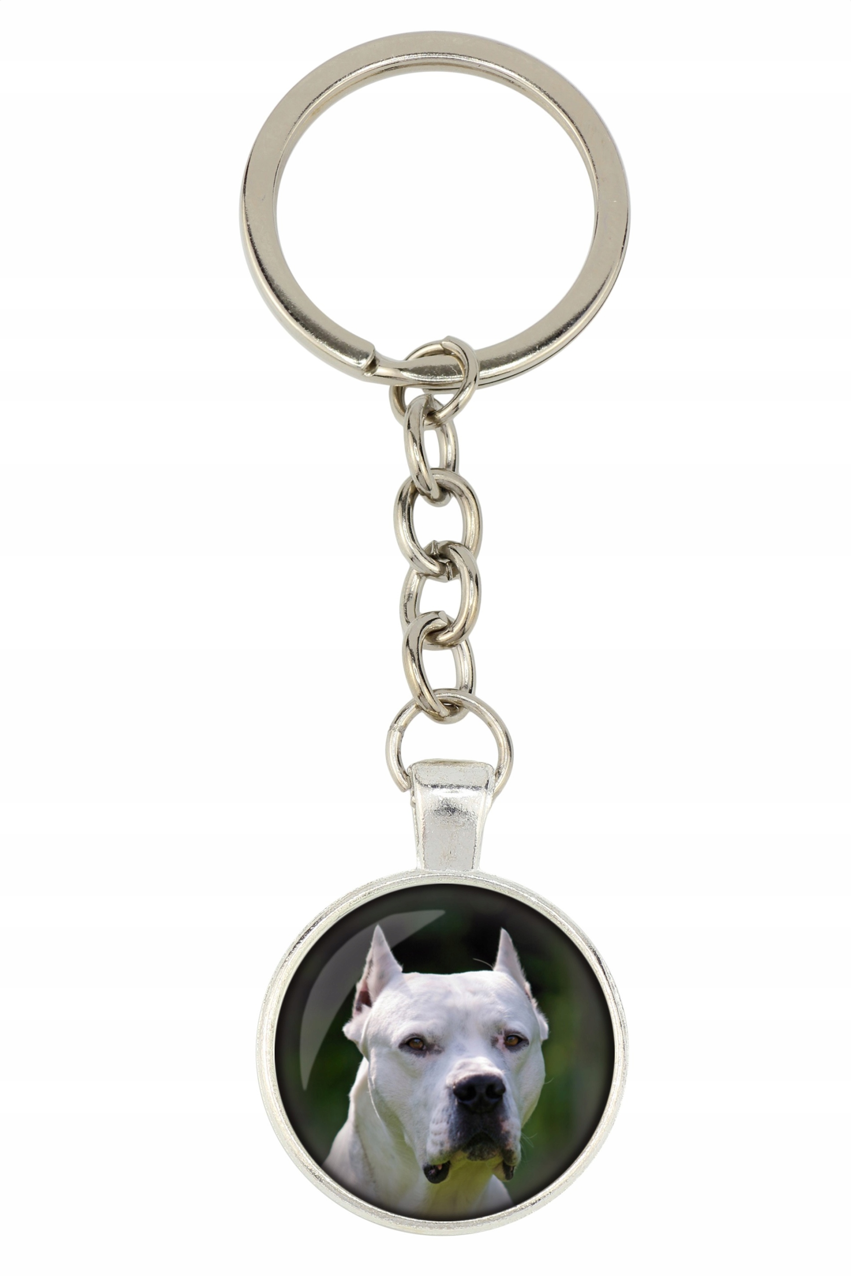 

Dog argetyński Brelok Twoje zdjęcie foto Handmade