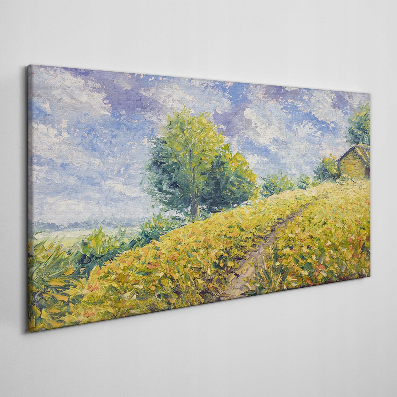 

Foto-obraz na płótnie Wzgórze łąka drzewa 120x60