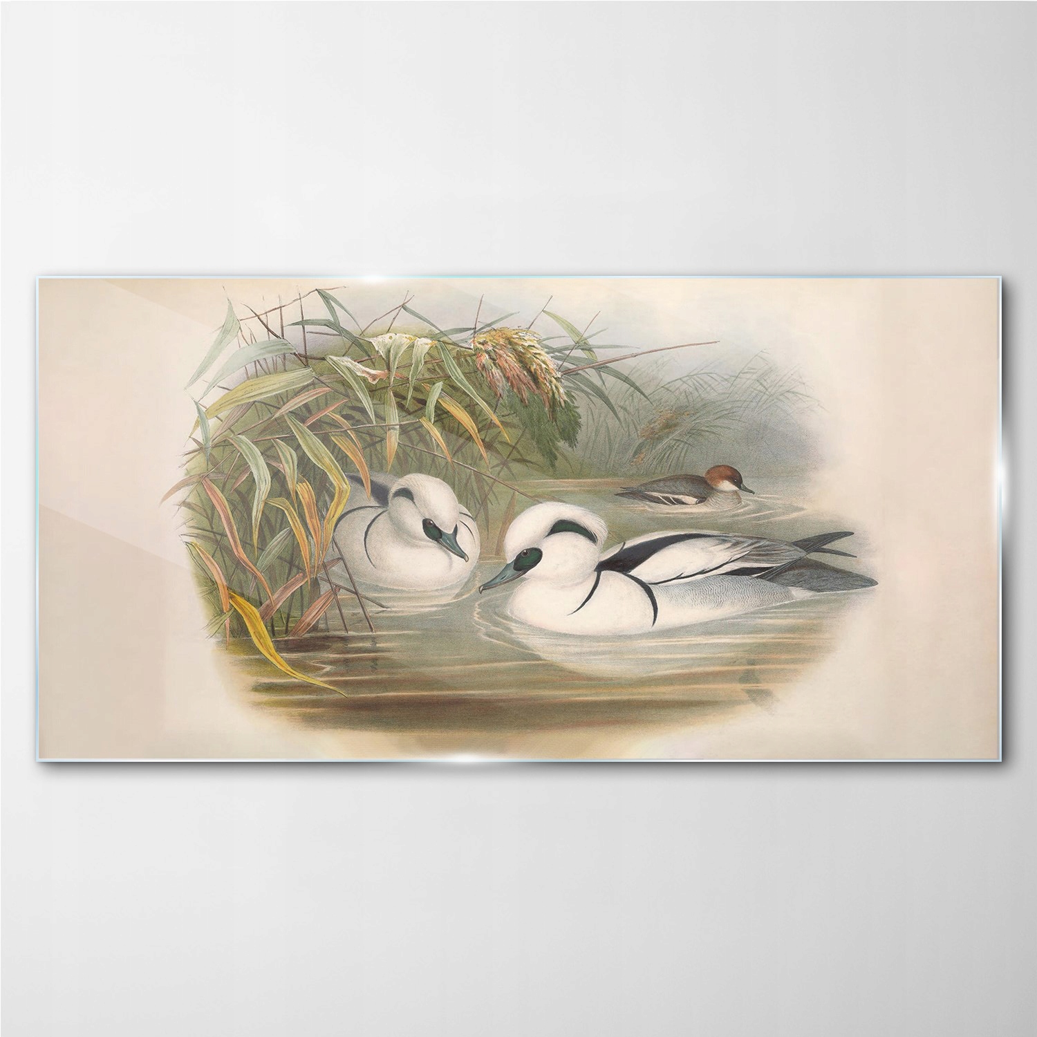 

Foto-obraz szklany Ptaki zwierzęta rysunek 100x50