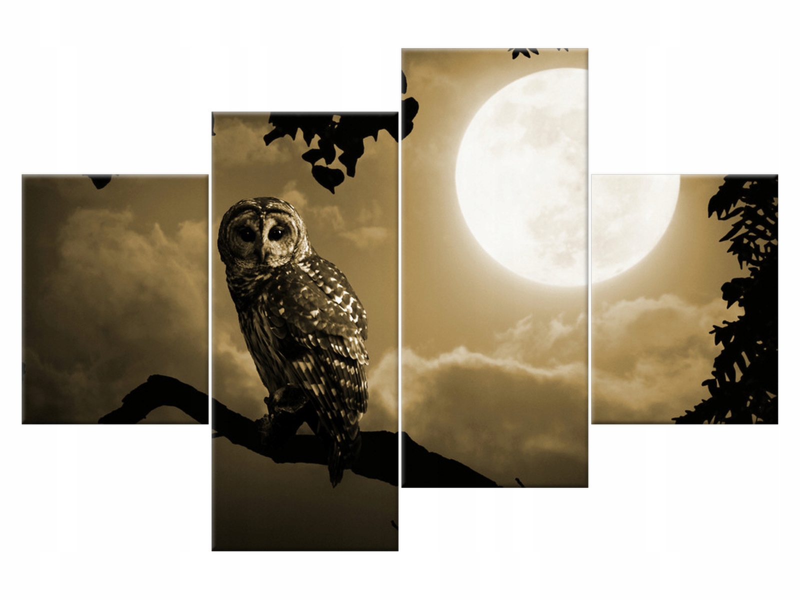 

Obraz Sowa na gałęzi 120x80 Pejzaż 2182A_4G