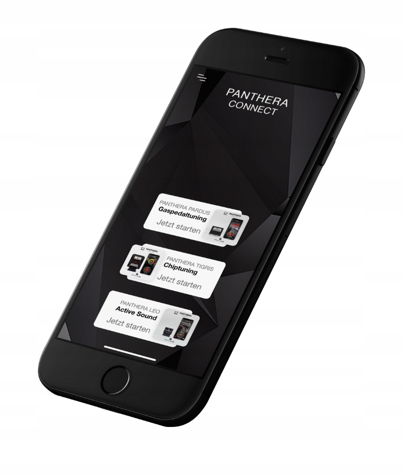 Aktywny wydech Panthera LEO 6.0 (Boxer | R4 | R6| V6 | V8 | V12 | E-Sound) Producent części Panthera Automotive