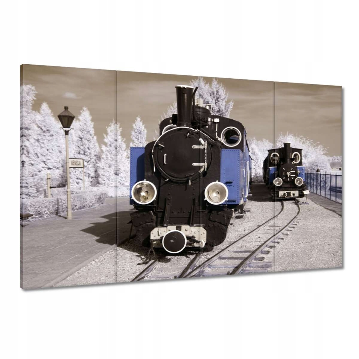 Obrazy 120x80 Úzkorozchodná železnice