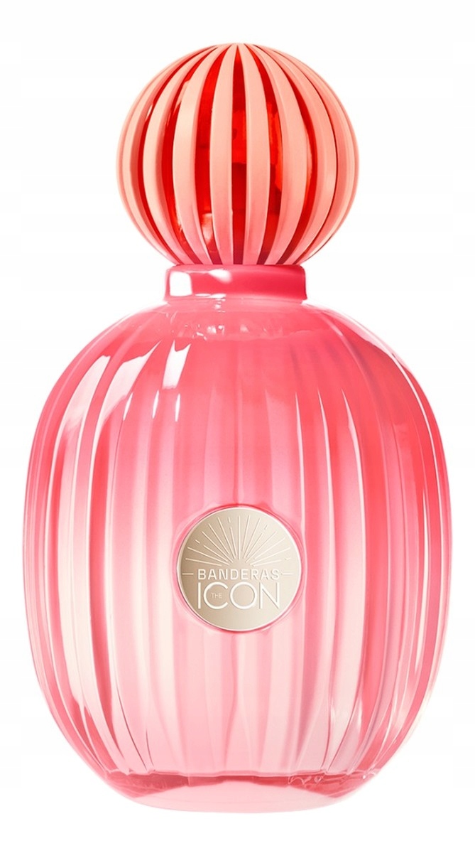 Antonio Banderas The Icon Splendid parfémovaná voda sprej 100 ml