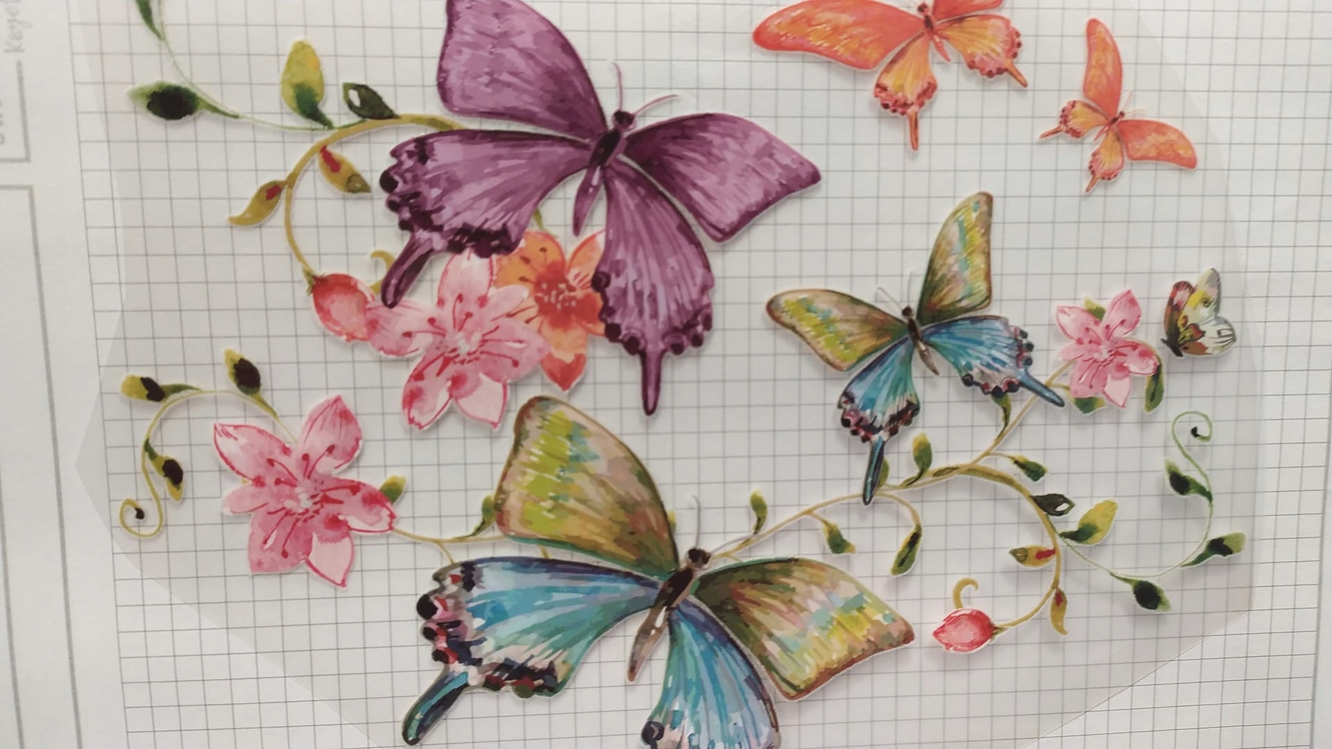 TERMO NAKLEJKA APLIKACJA NAPRASOWANKA MOTYLE MT-21 Model MOTYLE