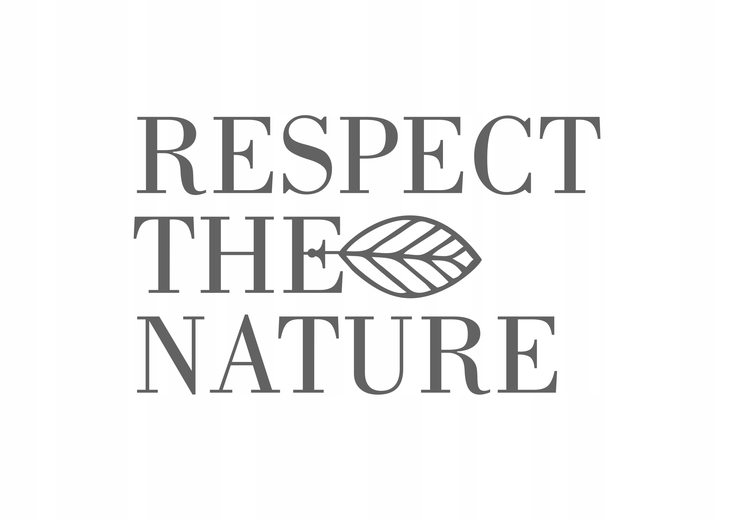 NEBOA Szampon Detox&Hydration 300ml Marka Neboa