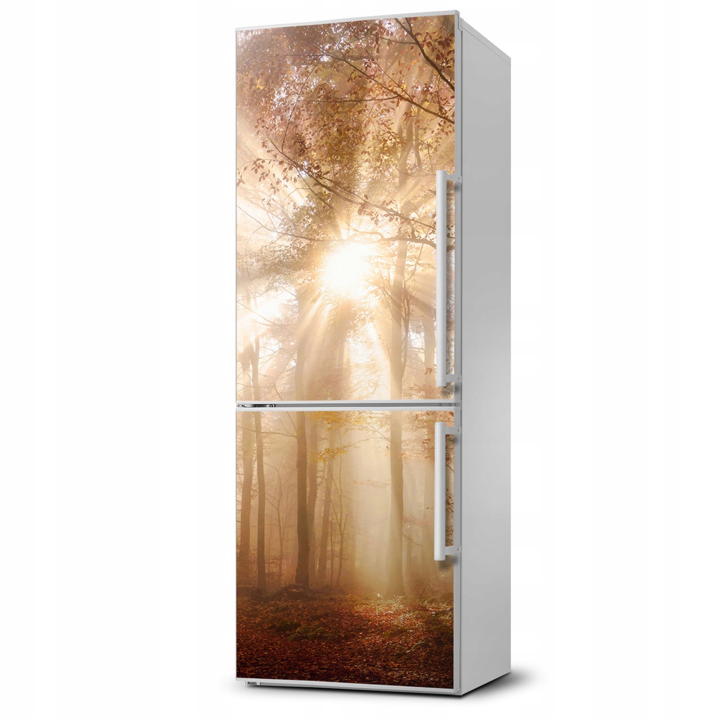 

Magnes na lodówkę magnetyczna Las jesienią 60x180