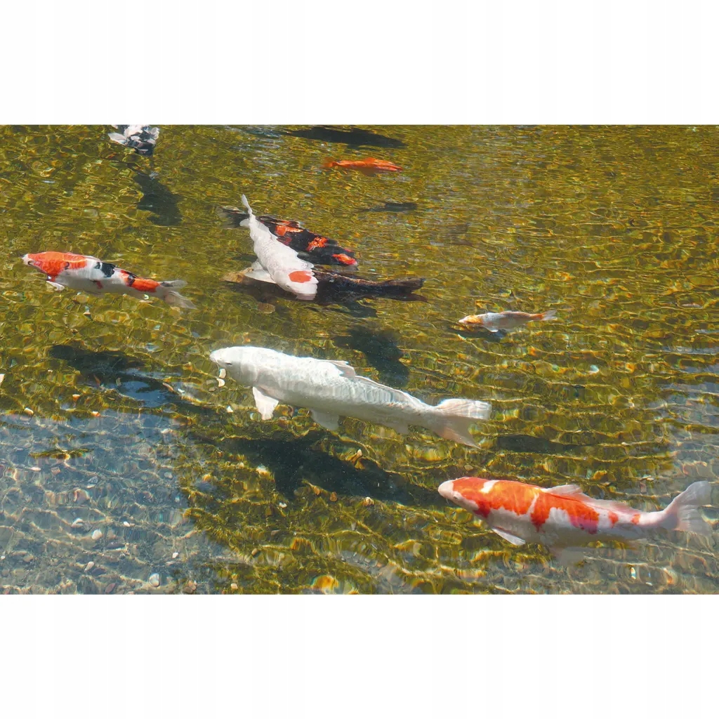 Ubbink Lampa do oczka wodnego AlgClear, jednostka UVC 95000, 95 W Barwa światła biały