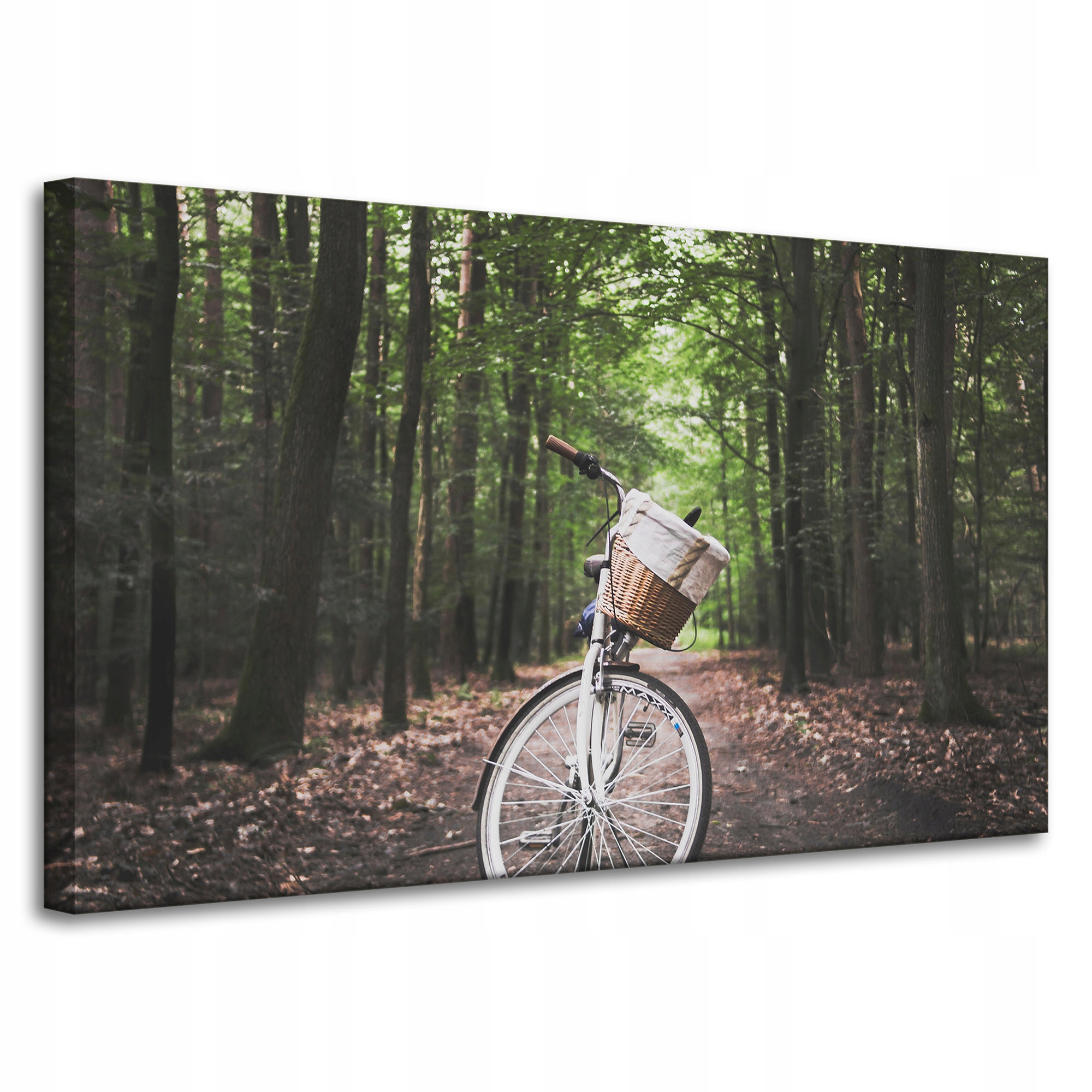 Obraz na plátně Pro Mládež kolo v lese Natura Sport 100x60