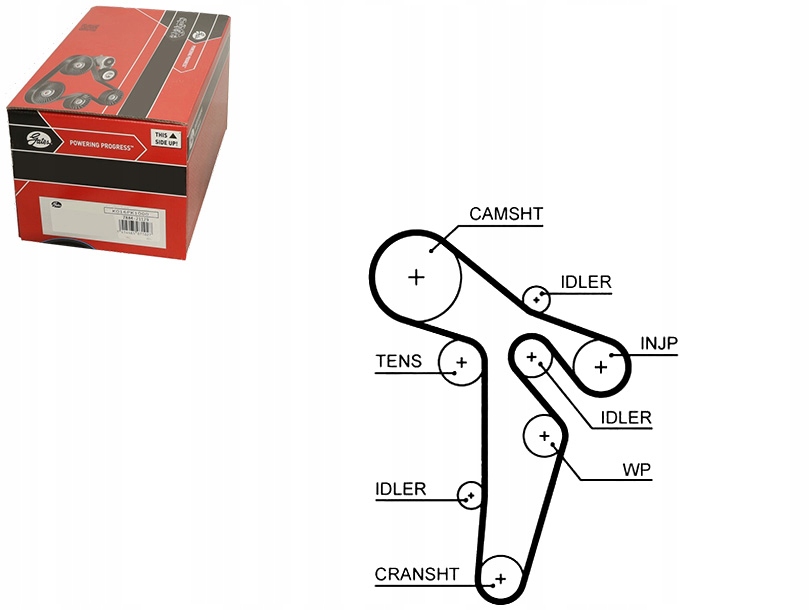 Gates Rozvodový Řemen 03L109119 D F