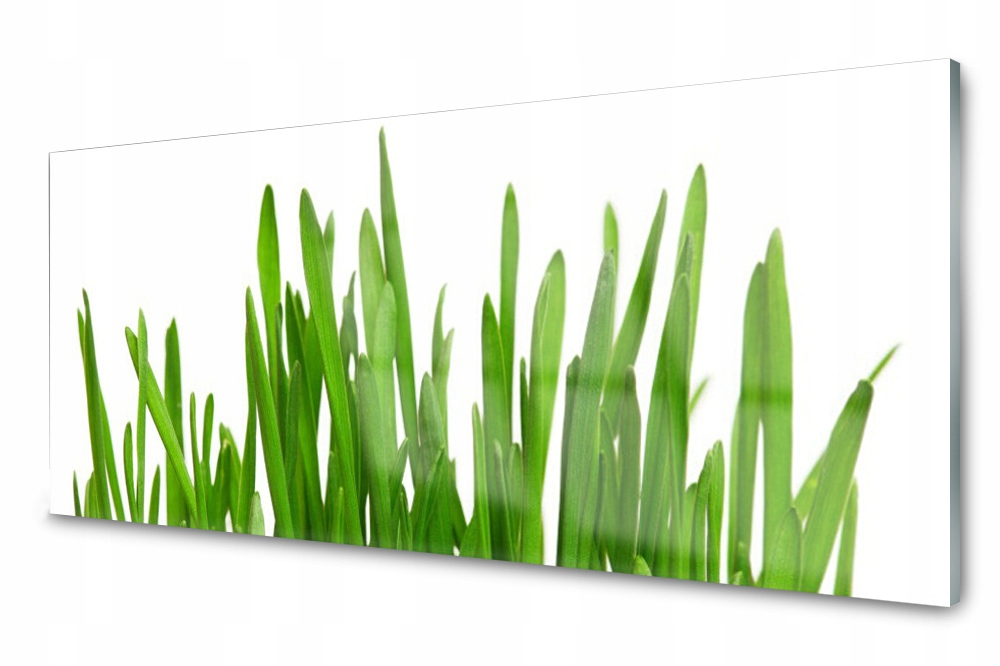 

Panel szklany do kuchni Dekor Płytka Trawa 125x50