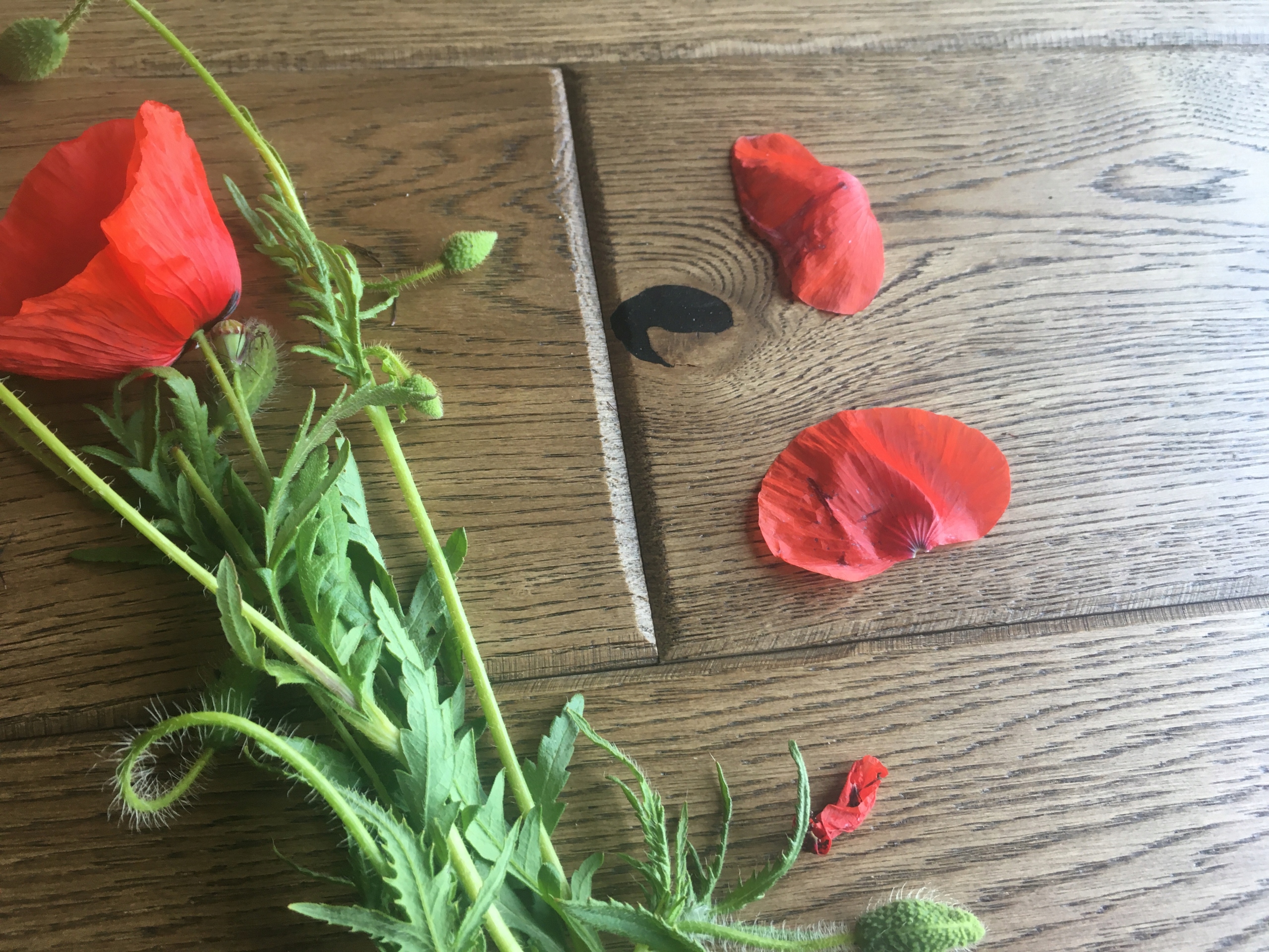 Deska warstwowa,hand made 14(4)x180x1000-2400