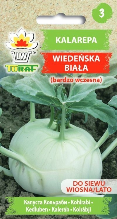 nasiona KAPUSTA DITMARSKA 2g — 5