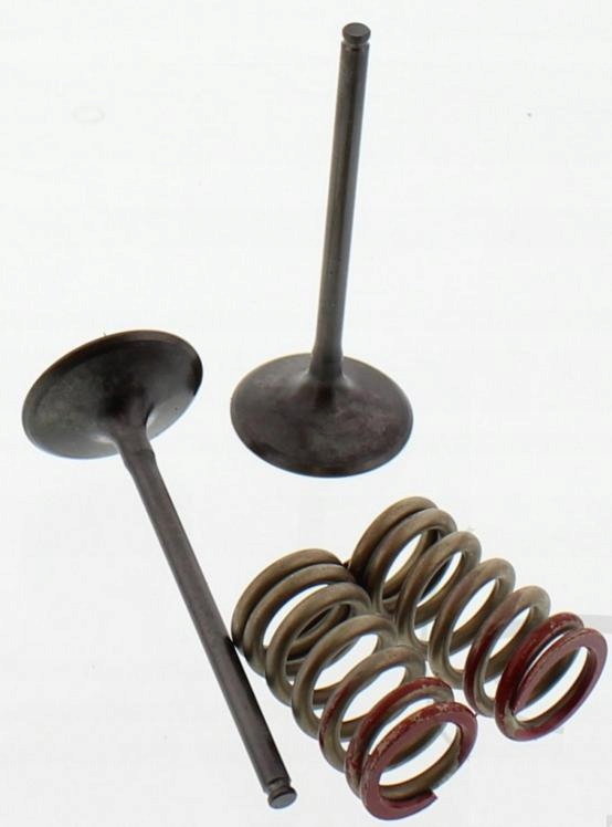 ZAW1325 - Всасывающие клапаны + пружины HONDA TRX 450 06-09r.