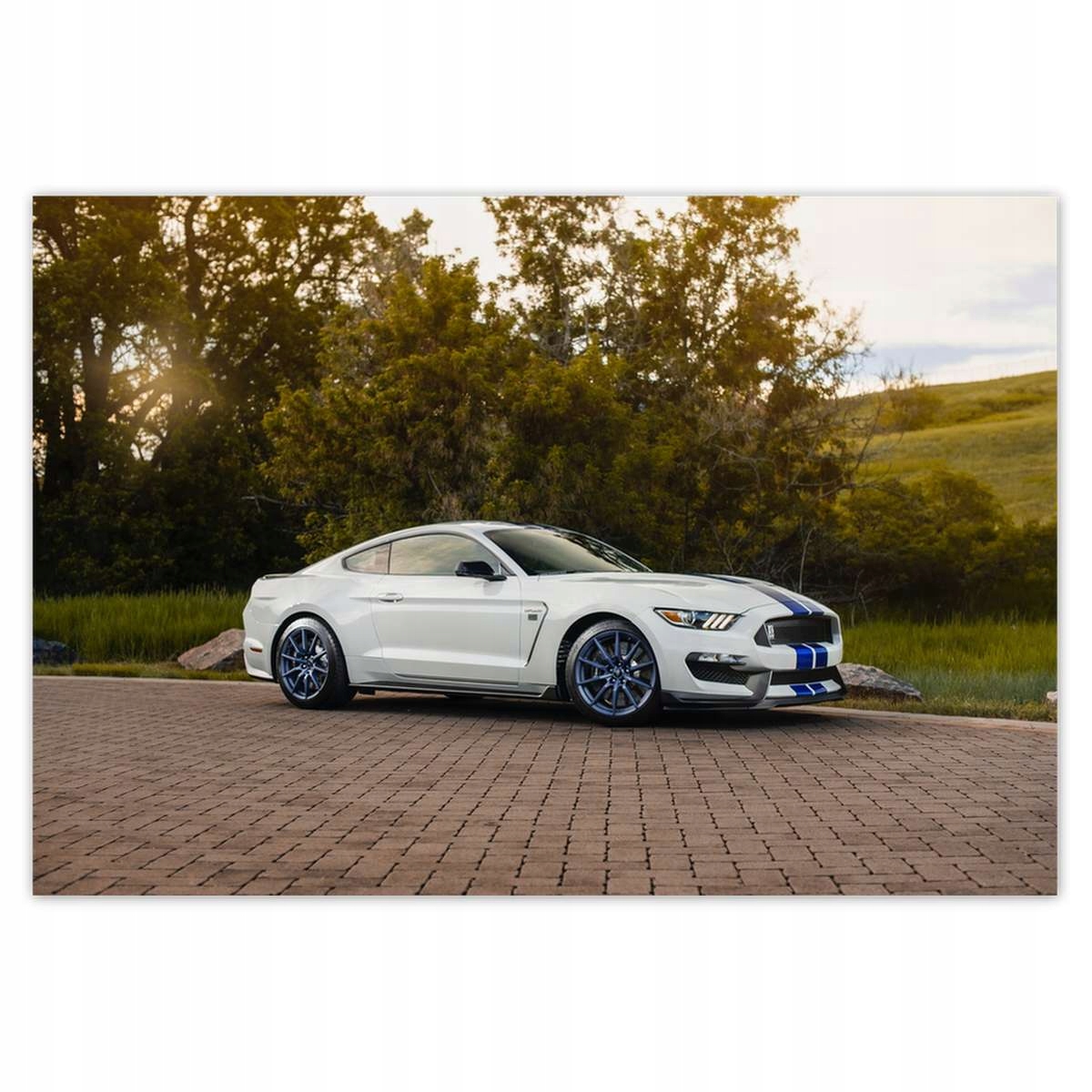 Fototapety 152x104 Ford Mustang Auto Usa