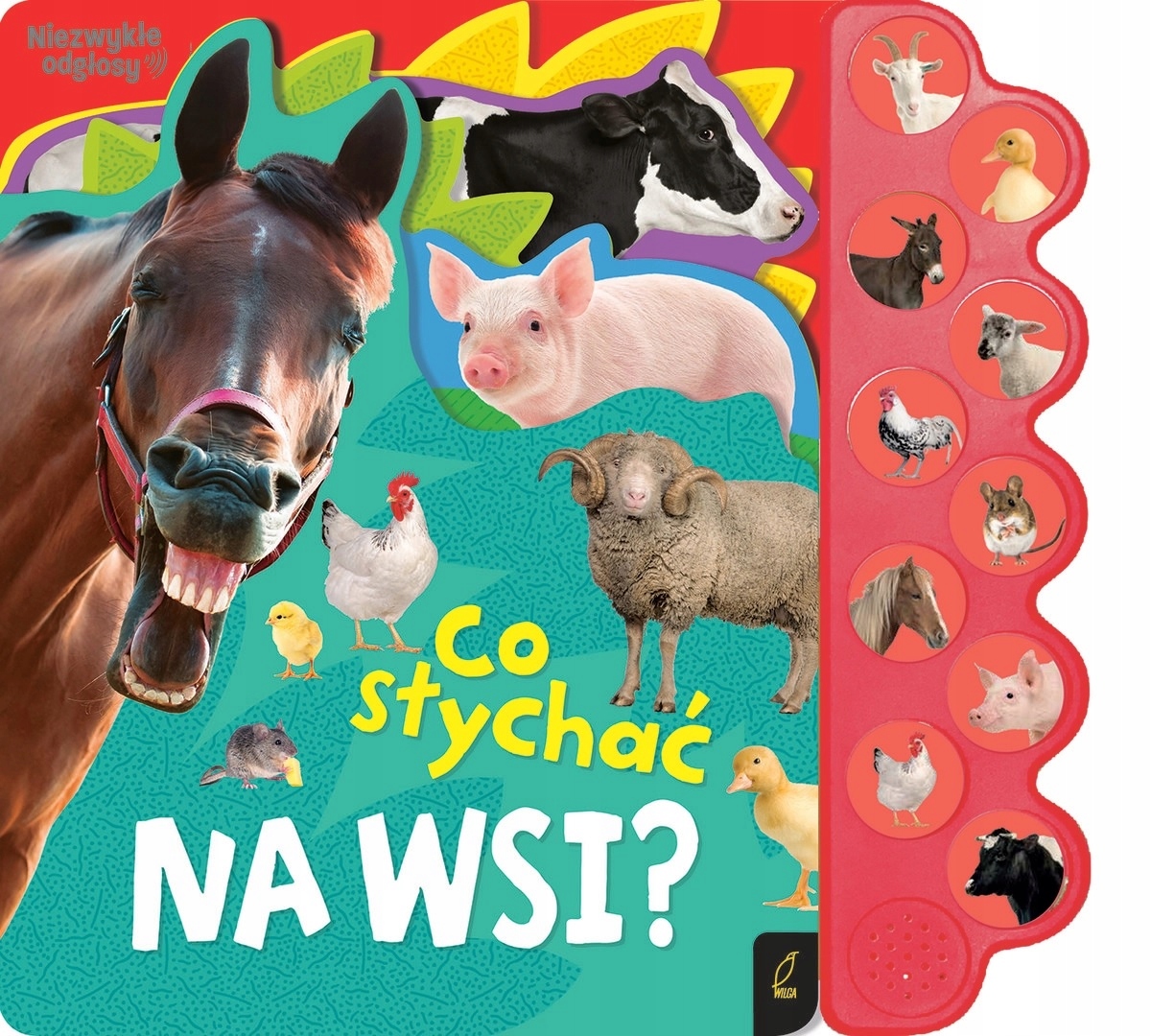

Co Słychać Na Wsi Zwierzęta Książeczka Dźwiękowa