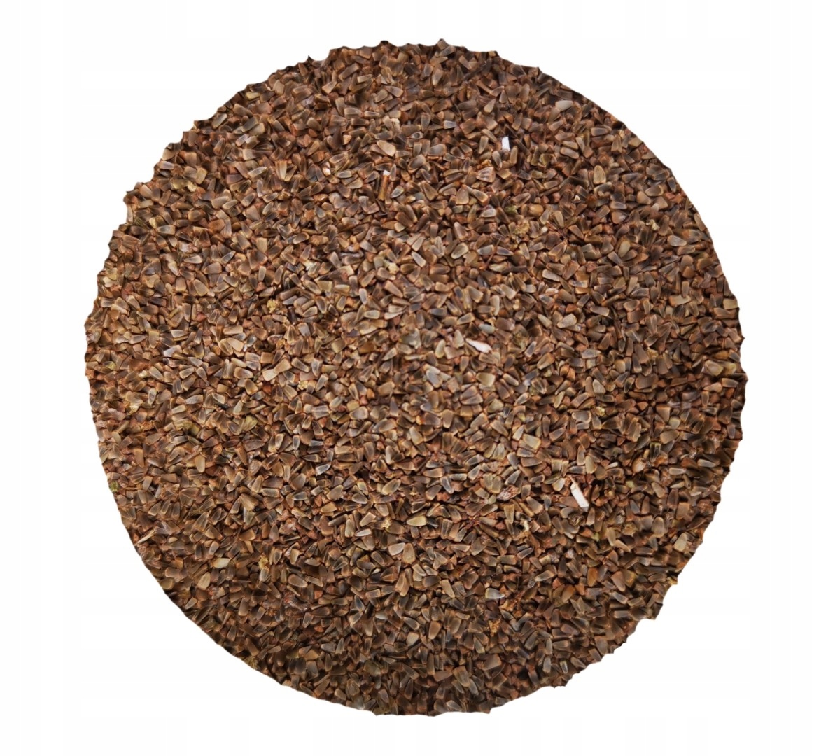 Serdecznik pospolity - nasiona - 100g