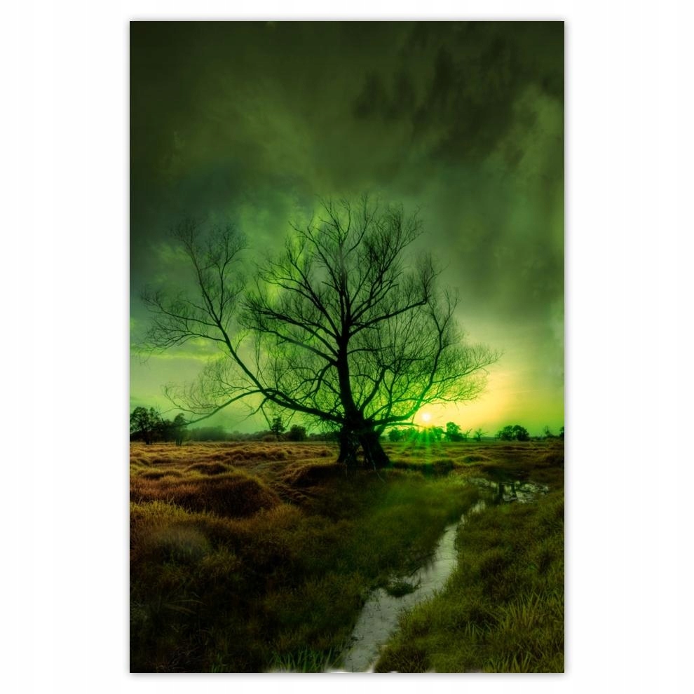 

Plakaty 40x60 Rogalin