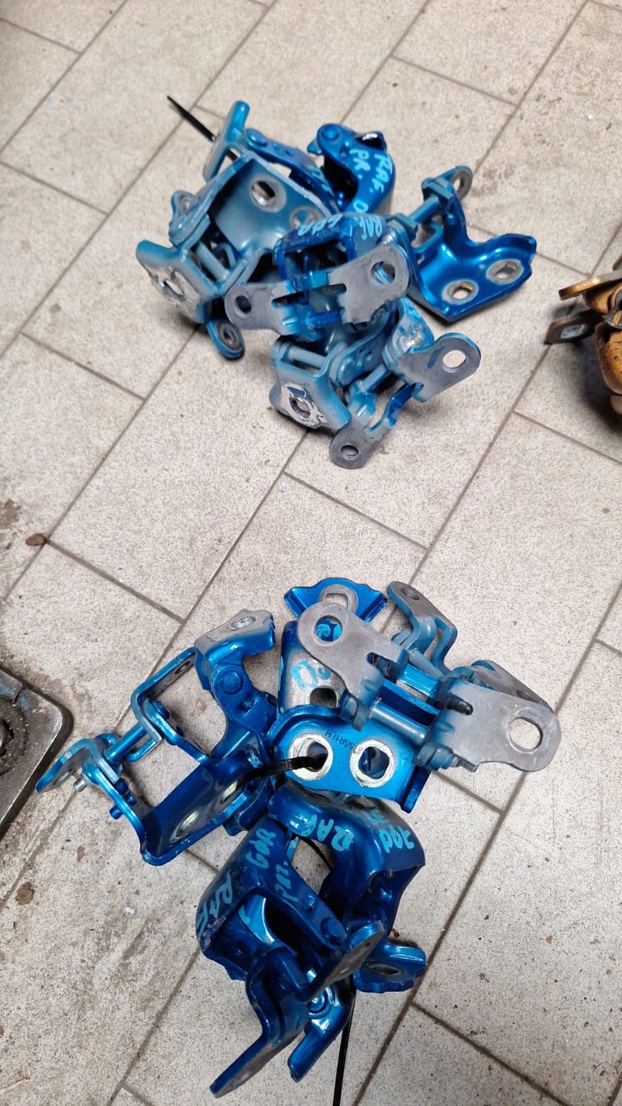 hinge door RENAULT RAFALE blue BIYXR