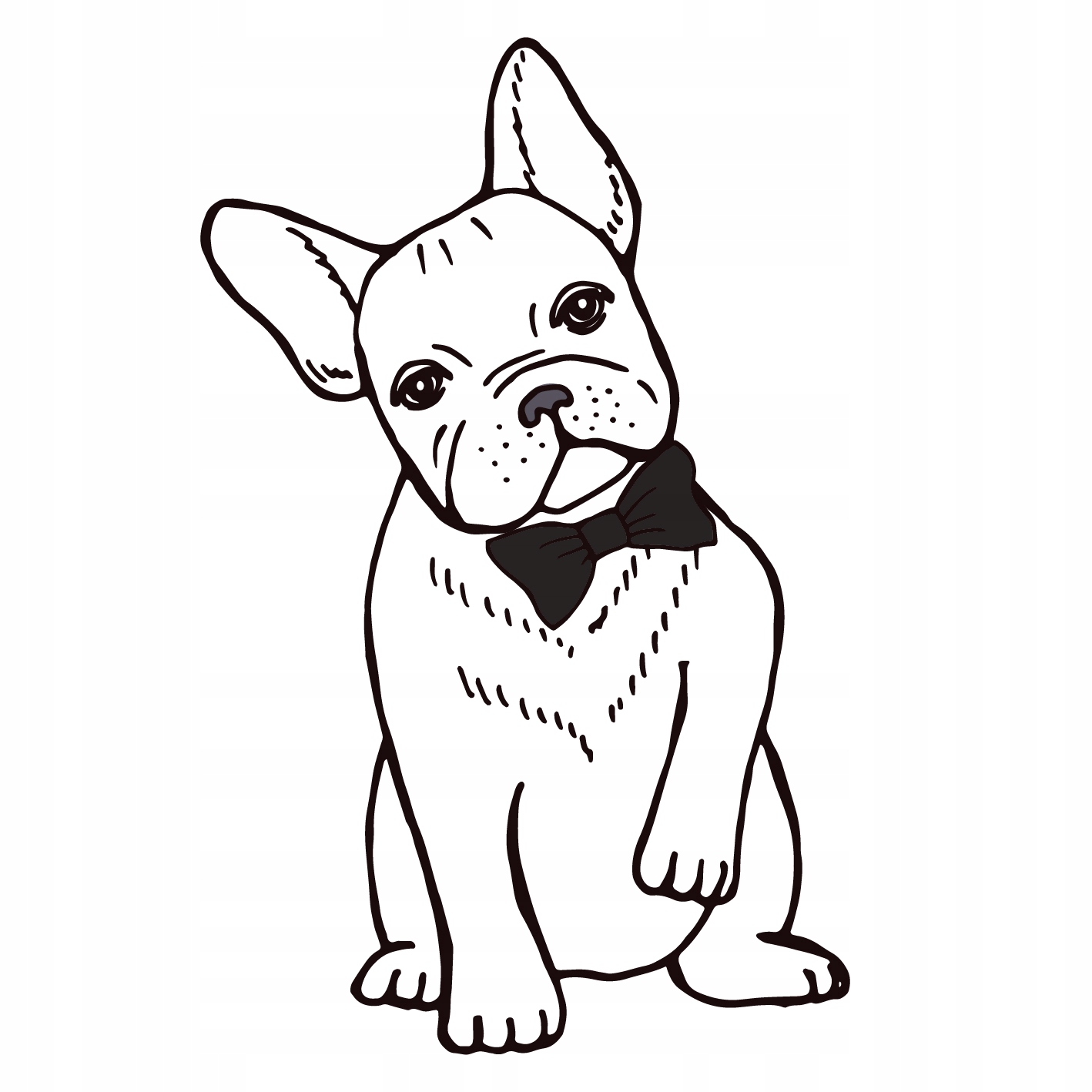 

Naklejka Drzwi na lodówkę Bulldog Francuski 50cm