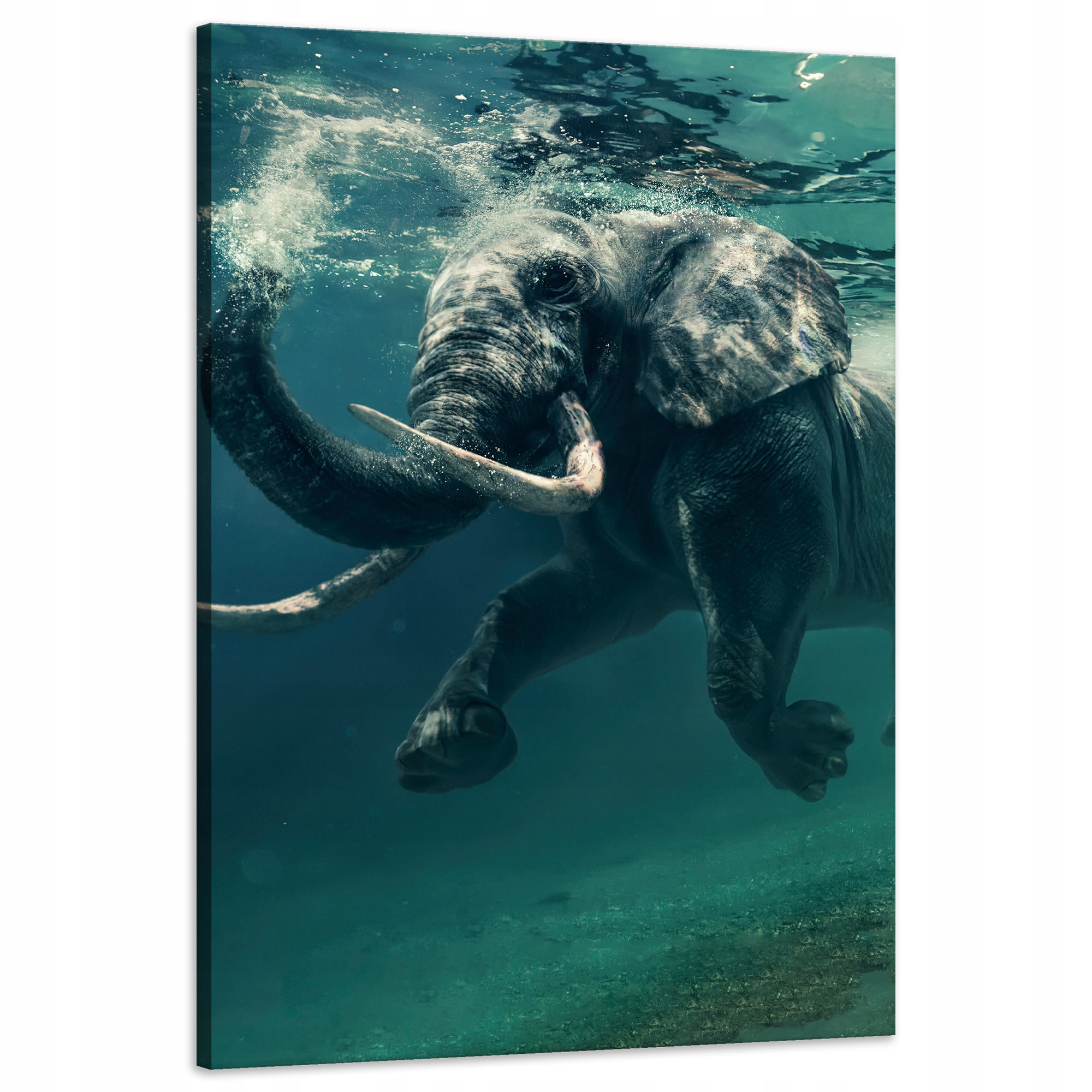 Obraz na plátně Plovoucí slon ve vodě Umění 60x90 cm