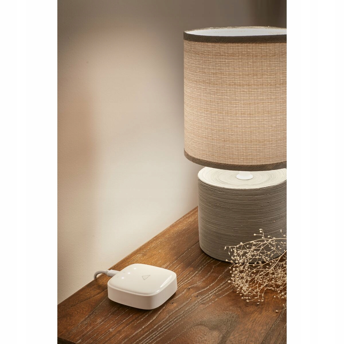 Centrala sterująca Enki Box EAN (GTIN) 3276007366532