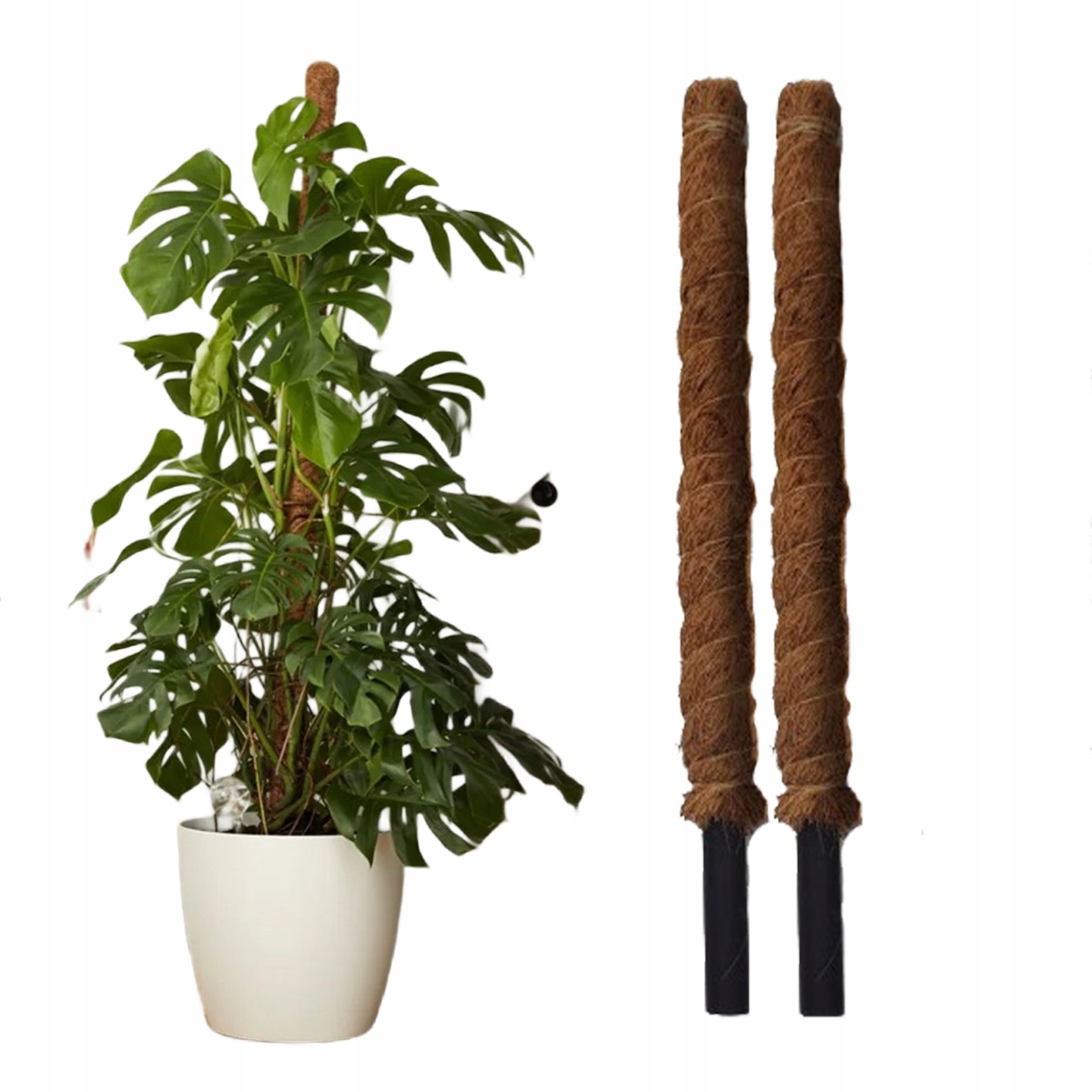 

Palik kokosowy tyczka podpora roślin 140cm 2szt.