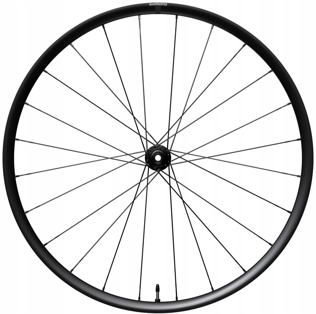 Přední kolo Shimano WH-RX180 700 Disc CL 12x100 mm Gravel